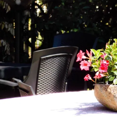 Hotel Ultra - Alpino Restaurant